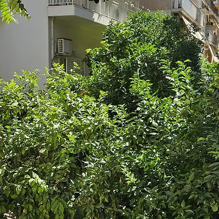 Cozy And Quiet Apartment , Convenient Location In Athens-3